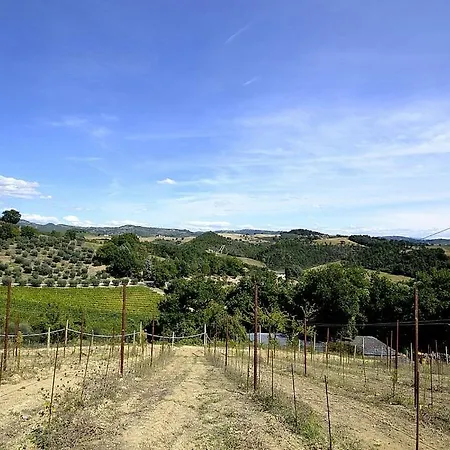 Osteria Di Ramazzano Sleeps 7 Pool Air Con Lejlighed *